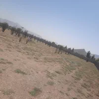 زمین  چهار دیواری باغ گلخانه|فروش دفتر صنعتی، کشاورزی، تجاری|اصفهان, هوانیروز|دیوار