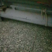 کیلویی ۶۰تومن دستگاه قالی