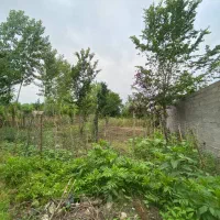 فروش-زمین-پر-شمال