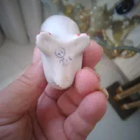 وساعیل بسیار قدیمی و کمیاب|کلکسیون اشیاء عتیقه|چهاردانگه (تهران), |دیوار