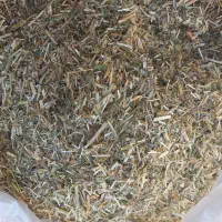 کاه یونجه|لوازم جانبی حیوانات|شیروان (خراسان), |دیوار