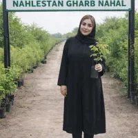 فروش نهال انارمرکبات صنوبرزرشک زردالورجبعلی گلدانی