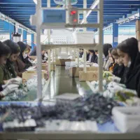 نیرو تولید و بسته بندی