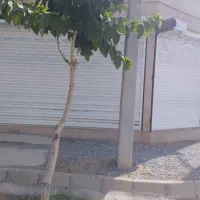 ۴مغازه برای فروش یامعاوضه
