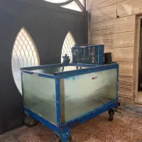 آکواریوم ماهی