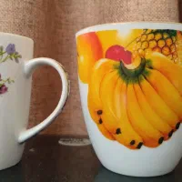 ماگ وارداتی