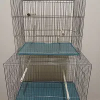 قفس سهره قناری مرغ عشق فنچ