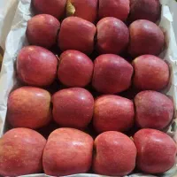 کارگر ساده