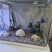 دوتا آکواریم برندشرکتی آکواهمراه تجهیزات|ماهی|تهران, چهارصد دستگاه|دیوار