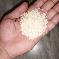 برنج درجه یک گیلان|خوردنی و آشامیدنی|بوشهر, |دیوار