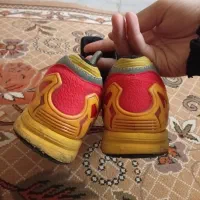 zxاسپانیا|کیف، کفش، کمربند|نسیم‌شهر, |دیوار