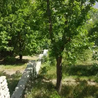 اغشت-سند-تک-برگ