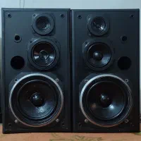 یک جفت باند قدیمی