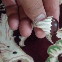 انگوشتر|جواهرات|اهواز, ملاشیه|دیوار