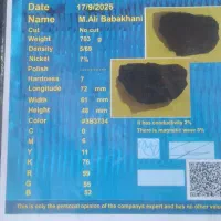 شهاب سنگ فلزی با برگه کارشناسی