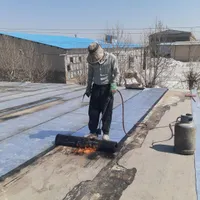 کاربنایی وخرده کاری سیمان کاری و دیوارچینی