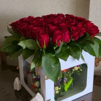 گل خاص برای مناسبت های خاص|گل و گیاه طبیعی|اصفهان, پروین|دیوار