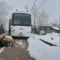 اجاره اتوبوس اسکانیا. میدل باس دربستی تور گردشگری|خدمات حمل و نقل|تهران, ترمینال غرب|دیوار