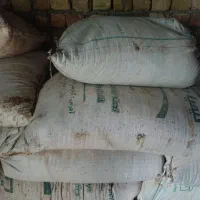 400 کیلو گندم پیشگام،واسه فروش