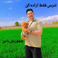 تر.ک  اعتیا.د بدون نگرانی حرفه ای و تخصصی|آرایشی، بهداشتی، درمانی|گلبهار, شهر جدید گلبهار|دیوار