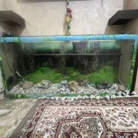 آکواریوم بزرگ