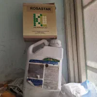 فروش بذر چغندر و مقداری کود تقویتی|گل و گیاه طبیعی|مینودشت, |دیوار