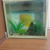 اکواریم معاوضه با پرنده