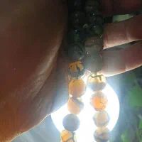 تسبیح۳۳ دانه شجر