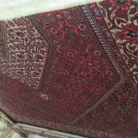 فرش بافی|گلیم، جاجیم، گبه|زنجان, |دیوار