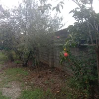 فروش خونه باغ زیبا و بکر|فروش خانه و ویلا|تولم شهر, |دیوار