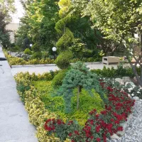 خدمات فضای یبز