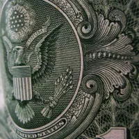 استخدام تریدر