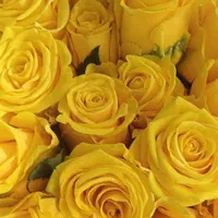 تاج گل ترحیم ، ماشین عروس ، گل آرایی سنگ قبر|گل و گیاه طبیعی|قم, باغ شریفی|دیوار