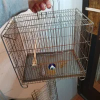 قفس غلامی سهره