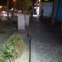 فروش-مغازه-30متری-میر
