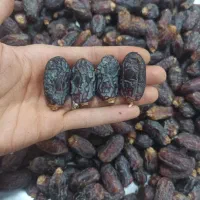 خرما|خوردنی و آشامیدنی|تهران, مقدم|دیوار