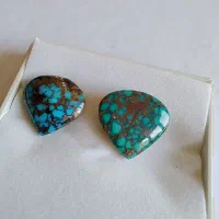 جفت اشکی نیشابوری