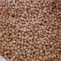 نخود فروشی پاییزه