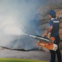 سمپاشی تضمینی سوسک ساس موش مورچه حشرات موذی