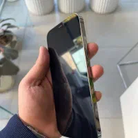 12 پرومکس ۲۵۶ گیگ مشکی|موبایل|قزوین, |دیوار