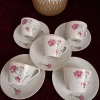 ظروف گلسرخی