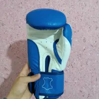 دستکش بوکس|تجهیزات ورزشی|مشهد, سجاد شهر|دیوار