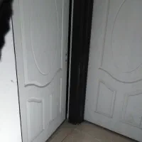 در اتاق در حد نوا|مصالح و تجهیزات ساختمان|رودسر, |دیوار