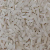 برنج اعلای لنجان