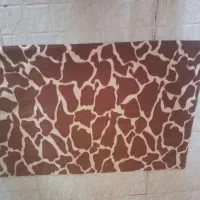 پادری