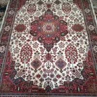 قالی نو و پلم