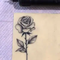 آموزش و انجام تتو بدن ماهدشت