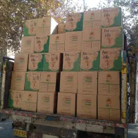 بنکداری تخم مرغ سالارپور البرز