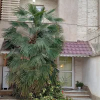 خانه رهن کامل