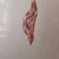 گوشت گوسفندی